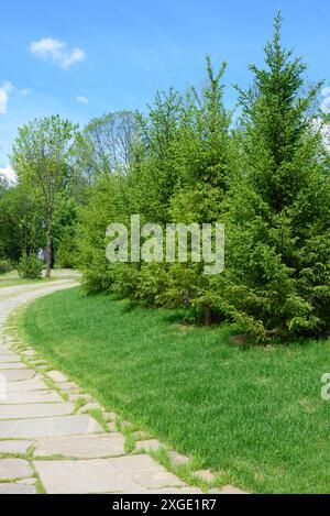 Un chemin tranquille de pierres lisses serpente à travers un parc serein bordé de rangées de sapins à feuilles persistantes. Promenez-vous dans le parc. Banque D'Images