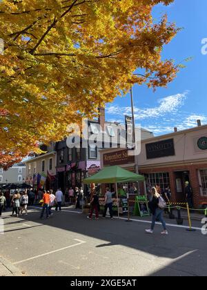 Les arbres du centre-ville de Salem Massachusetts deviennent jaunes en automne près d'Halloween Banque D'Images