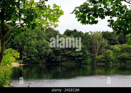 Lac, Cosmeston Country Park, Penarth, Cardiff, Galles du Sud. Prise en juillet 2024 Banque D'Images