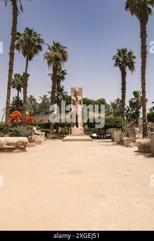 Menphis, musée avec statue debout de Ramsses II, ancienne capitale en basse Egypte, gouvernorat de Gizeh, Egypte, Afrique du Nord, Afrique Banque D'Images