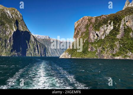 Paysage dans le Fiordland de Nouvelle-Zélande, Milford Sound Banque D'Images