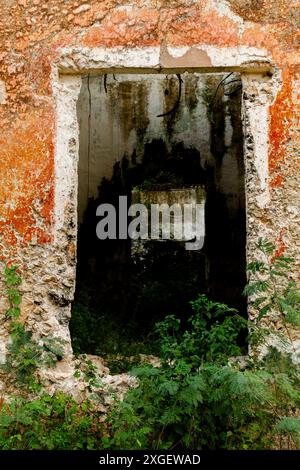 Hacienda coloniale récupérée par la nature à Merida, Yucatan, Mexique Banque D'Images