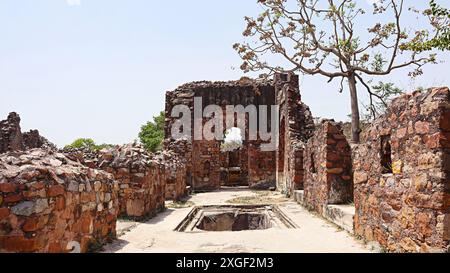 Vue en ruines du palais royal du fort, un fort de la dynastie Tughlaq datant du XIVe siècle, Tughlaqabad, Delhi, Inde. Banque D'Images