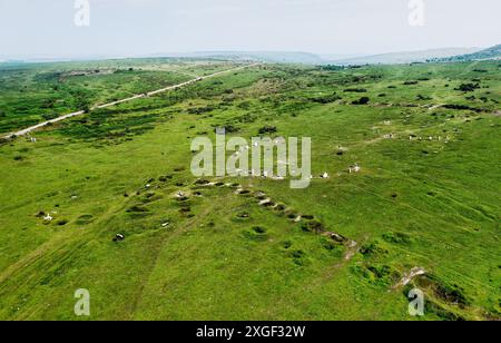 Les hurleurs, 3 cercles de pierre préhistoriques côte à côte. S.E. bord de Bodmin Moor à Minions, Cornwall. Egalement récents trous de mine de cuivre de puits peu profonds Banque D'Images