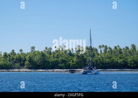 Bateau d'excursion, voilier, catamaran, cocotier (Cocos nucifera), Tetiaroa, atoll, île de Marlon Brando, Polynésie française, îles de la Société Banque D'Images