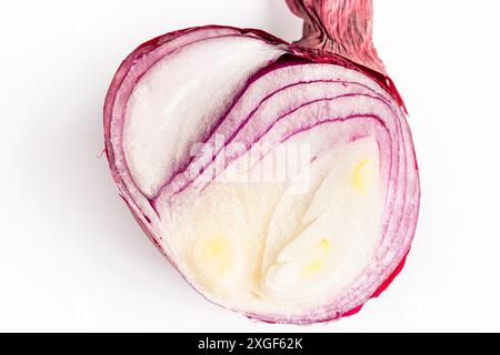 Un oignon commun rouge coupé en deux (Allium cepa) sur fond blanc, avec des couches distinctes Banque D'Images