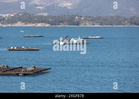 Bateau de moules naviguant entre la plateforme en bois de moules appelée batea. Paysage marin. RIAS Baixas, Galice, Espagne Banque D'Images