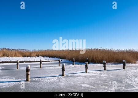 Bodden près d'Ahrenshoop sur le Fischland-Darss en hiver Banque D'Images