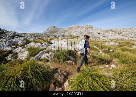 Masanella Peak, Sierra de Tramontana, 1364 mètres, municipalité de Escorca, Mallorca, Îles Baléares, Espagne Banque D'Images