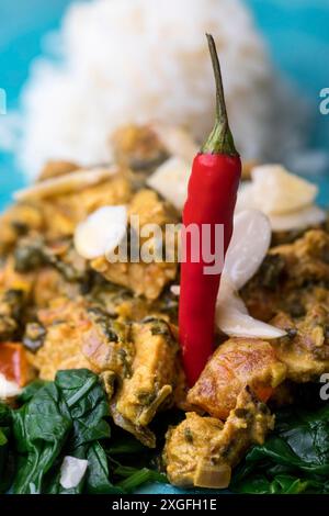Poulet palak indien sur une assiette bleue Banque D'Images