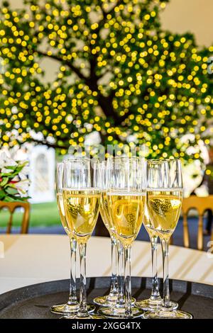 Verres remplis de champagne avec joli arbre éclairé derrière Banque D'Images