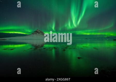 Aurores boréales (aurores boréales) au-dessus de la montagne Kirkjufell (chapeau de magicien) reflétée dans l'océan, Islande, régions polaires Banque D'Images