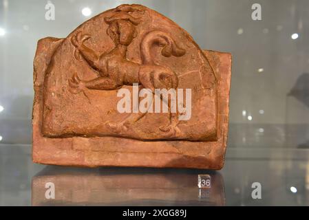 Tuile décorative en argile avec griffon, XIVe-XVe siècle, Musée national, Palais des grands ducs de Lituanie, Vilnius, Lituanie, Europe Banque D'Images