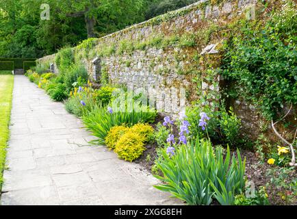 Plantation de bordure ensoleillée, jardins de Dartington Hall, domaine de Dartington, sud du Devon, Angleterre, Royaume-Uni, Europe Banque D'Images