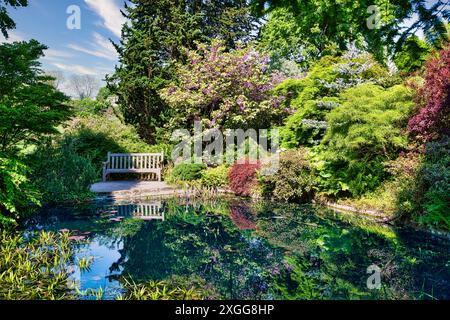 Une scène de jardin sereine avec un banc en bois à côté d'un étang tranquille entouré de verdure luxuriante et de fleurs en fleurs, Royaume-Uni, Europe Banque D'Images
