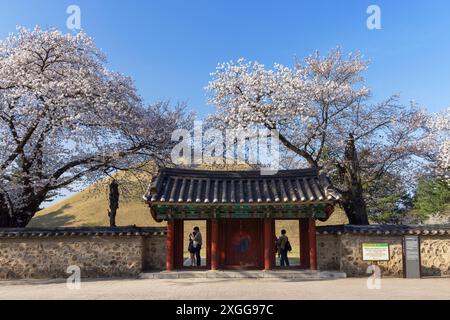 Tombeau royal du roi Michu dans le complexe de tombes de Daereungwon, site du patrimoine mondial de l'UNESCO, Gyeongju, Corée du Sud, Asie Banque D'Images