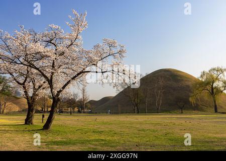 Complexe de tombes de Daereungwon, site du patrimoine mondial de l'UNESCO, Gyeongju, Corée du Sud, Asie Banque D'Images