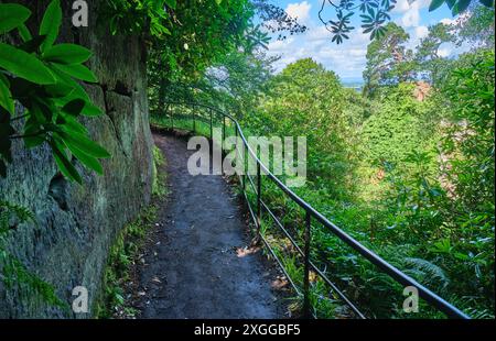 Chemin vers la Tour Blanche à Hawkstone Follies, Hawkstone Park, Weston-under-Redcastle, Shrewsbury, Shropshire Banque D'Images