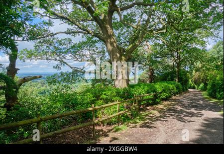 The Terrace at Hawkstone Follies, Hawkstone Park, Weston-under-Redcastle, Shrewsbury, Shropshire Banque D'Images