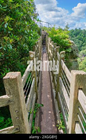 Le pont suisse à Hawkstone Follies, Hawkstone Park, Weston-under-Redcastle, Shrewsbury, Shropshire Banque D'Images