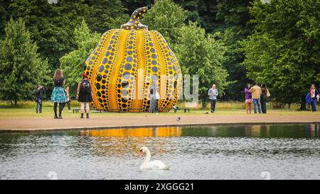 Londres, Royaume-Uni. 09 juillet 2024. Les cygnes sur l'étang obtiennent une vue panoramique de la nouvelle installation vibrante. Cette sculpture à grande échelle, 'citrouille' (2024), du japonais Yayoi Kusama sera in situ près de l'étang rond dans les jardins de Kensington jusqu'en novembre et est libre de la visiter dans le parc. C'est la plus grande sculpture de citrouille en bronze de Kusama à ce jour. Crédit : Imageplotter/Alamy Live News Banque D'Images