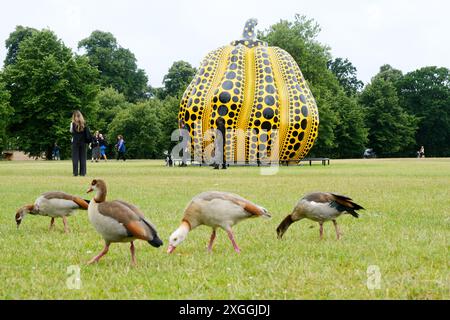 Kensington Gardens, Londres, Royaume-Uni. 9 juillet 2024. La citrouille de Yayoi Kusama (2024) dévoilée dans le jardin de Kensington Credit : Matthew Chattle/Alamy Live News Banque D'Images