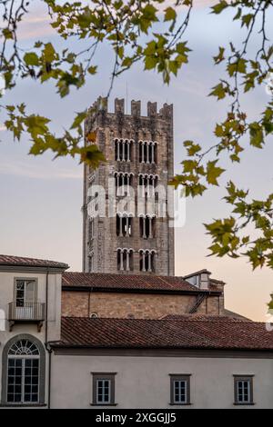 La tour de l'église San Frediano encadrée par des branches d'arbres dans une Lucques, Italie pendant le coucher du soleil. Banque D'Images