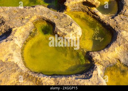 Petits bassins d'eau peu profonds sur une surface rocheuse. L'eau est d'une couleur vert sombre, et les piscines sont dispersées dans toute la région. Eau salée à Coastal Banque D'Images