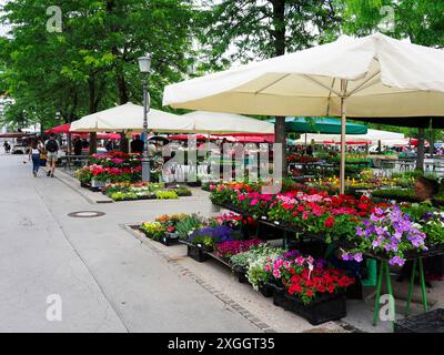 Étals de fleurs au marché central de Ljubljana en été Ljubljana Slovénie centrale Banque D'Images