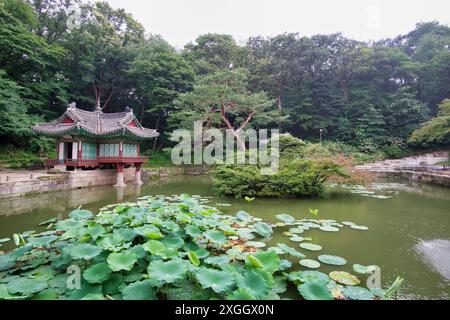 Jardin coréen serein avec pavillon traditionnel reflété dans un étang rempli de lotus, entouré d'une végétation luxuriante Copy Caption Banque D'Images