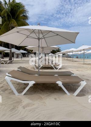 Chaises de plage et parasols sur la plage. Une rangée de chaises de plage dans un club de plage dans les Caraïbes. Banque D'Images