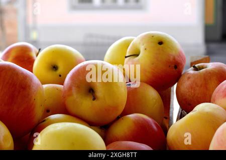 Pommes fraîchement cueillies dans des caisses de boisseau en bois sur un marché fermier local. Banque D'Images