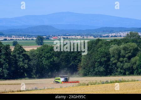 Hedersleben, Allemagne. 09 juillet 2024. Une moissonneuse-batteuse de la coopérative agricole de Hedersleben bat de l'orge d'hiver sur un champ de liège. Les montagnes du Harz avec leur plus haut sommet, le Brocken, peuvent être vues en arrière-plan. Il fait chaud et sec en Allemagne centrale depuis le week-end dernier. En conséquence, l'humidité des grains est tombée en dessous de 15 pour cent, c'est pourquoi les agriculteurs ont commencé à récolter les grains. Cependant, le temps devrait changer dans les jours à venir et devenir plus changeant. Crédit : Klaus-Dietmar Gabbert/dpa/Alamy Live News Banque D'Images