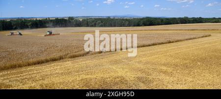 Hedersleben, Allemagne. 09 juillet 2024. Une moissonneuse-batteuse de la coopérative agricole de Hedersleben bat de l'orge d'hiver sur un champ de liège. Les montagnes du Harz avec leur plus haut sommet, le Brocken, peuvent être vues en arrière-plan. Il fait chaud et sec en Allemagne centrale depuis le week-end dernier. En conséquence, l'humidité des grains est tombée en dessous de 15 pour cent, c'est pourquoi les agriculteurs ont commencé à récolter les grains. Cependant, le temps devrait changer dans les jours à venir et devenir plus changeant. Crédit : Klaus-Dietmar Gabbert/dpa/Alamy Live News Banque D'Images