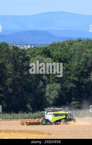 Hedersleben, Allemagne. 09 juillet 2024. Une moissonneuse-batteuse de la coopérative agricole de Hedersleben bat de l'orge d'hiver sur un champ de liège. Les montagnes du Harz avec leur plus haut sommet, le Brocken, peuvent être vues en arrière-plan. Il fait chaud et sec en Allemagne centrale depuis le week-end dernier. En conséquence, l'humidité des grains est tombée en dessous de 15 pour cent, c'est pourquoi les agriculteurs ont commencé à récolter les grains. Cependant, le temps devrait changer dans les jours à venir et devenir plus changeant. Crédit : Klaus-Dietmar Gabbert/dpa/Alamy Live News Banque D'Images