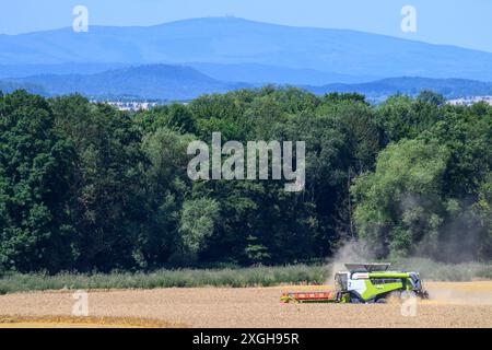 Hedersleben, Allemagne. 09 juillet 2024. Une moissonneuse-batteuse de la coopérative agricole de Hedersleben bat de l'orge d'hiver sur un champ de liège. Les montagnes du Harz avec leur plus haut sommet, le Brocken, peuvent être vues en arrière-plan. Il fait chaud et sec en Allemagne centrale depuis le week-end dernier. En conséquence, l'humidité des grains est tombée en dessous de 15 pour cent, c'est pourquoi les agriculteurs ont commencé à récolter les grains. Cependant, le temps devrait changer dans les jours à venir et devenir plus changeant. Crédit : Klaus-Dietmar Gabbert/dpa/Alamy Live News Banque D'Images