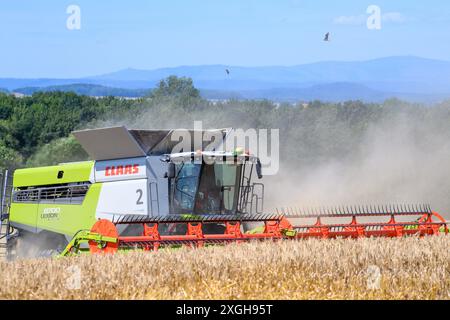 Hedersleben, Allemagne. 09 juillet 2024. Une moissonneuse-batteuse de la coopérative agricole de Hedersleben bat de l'orge d'hiver sur un champ de liège. Les montagnes du Harz avec leur plus haut sommet, le Brocken, peuvent être vues en arrière-plan. Il fait chaud et sec en Allemagne centrale depuis le week-end dernier. En conséquence, l'humidité des grains est tombée en dessous de 15 pour cent, c'est pourquoi les agriculteurs ont commencé à récolter les grains. Cependant, le temps devrait changer dans les jours à venir et devenir plus changeant. Crédit : Klaus-Dietmar Gabbert/dpa/Alamy Live News Banque D'Images