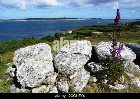 Les grandes pierres de chapeau de Bants Carn, tombe de l'âge de bronze une tombe d'entrée néolithique tardive, au-dessus du village de Halangy sur St Marys, îles Scilly, Cornouailles. ROYAUME-UNI Banque D'Images