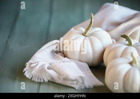 Vue avant de trois petites citrouilles blanches d'automne sur une table verte rustique pour l'automne. Mise au point sélective avec avant-plan et arrière-plan flous. Banque D'Images