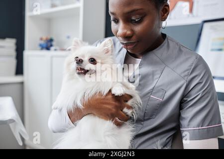 Gros plan d'une vétérinaire afro-américaine embrassant un chien blanc poméranien en bonne santé Banque D'Images