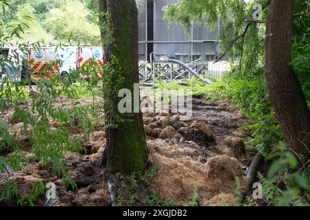 Amersham, Royaume-Uni. 9 juillet 2024. L'eau de la Tamise s'est déversée des bassins d'équilibrage Amersham dans la rivière Misbourne depuis plus de 3 500 heures. Ils étaient là encore aujourd'hui. En aval des rejets, il y a une odeur d'eaux usées de la rivière Misbourne dans le village de Chalfont St Giles dans le Buckinghamshire. Il y a des preuves évidentes de champignons d'égout dans la rivière Misbourne, un courant noir rare, et le long des berges. Thames Water a versé 158 millions de livres sterling à ses actionnaires malgré une dette de 15 milliards de livres sterling. Thames Water a déclaré qu'elle serait à court d'argent d'ici mai 2025. Le PDG de Thames Water, CH Banque D'Images