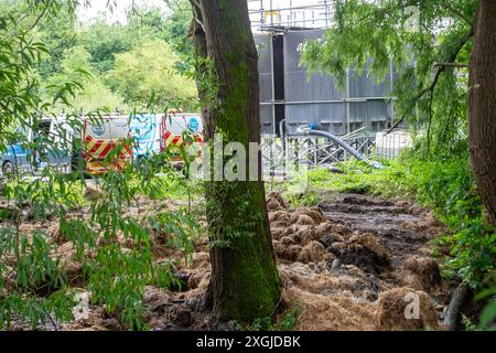 Amersham, Royaume-Uni. 9 juillet 2024. L'eau de la Tamise s'est déversée des bassins d'équilibrage Amersham dans la rivière Misbourne depuis plus de 3 500 heures. Ils étaient là encore aujourd'hui. En aval des rejets, il y a une odeur d'eaux usées de la rivière Misbourne dans le village de Chalfont St Giles dans le Buckinghamshire. Il y a des preuves évidentes de champignons d'égout dans la rivière Misbourne, un courant noir rare, et le long des berges. Thames Water a versé 158 millions de livres sterling à ses actionnaires malgré une dette de 15 milliards de livres sterling. Thames Water a déclaré qu'elle serait à court d'argent d'ici mai 2025. Le PDG de Thames Water, CH Banque D'Images