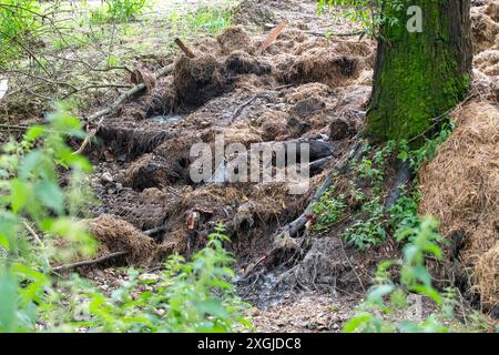 Amersham, Royaume-Uni. 9 juillet 2024. L'eau de la Tamise s'est déversée des bassins d'équilibrage Amersham dans la rivière Misbourne depuis plus de 3 500 heures. Ils étaient là encore aujourd'hui. En aval des rejets, il y a une odeur d'eaux usées de la rivière Misbourne dans le village de Chalfont St Giles dans le Buckinghamshire. Il y a des preuves évidentes de champignons d'égout dans la rivière Misbourne, un courant noir rare, et le long des berges. Thames Water a versé 158 millions de livres sterling à ses actionnaires malgré une dette de 15 milliards de livres sterling. Thames Water a déclaré qu'elle serait à court d'argent d'ici mai 2025. Le PDG de Thames Water, CH Banque D'Images