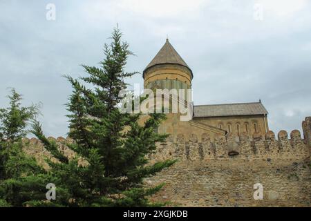 Forteresse d'Ananuri. Le château d'Ananuri représente un complexe architectural multifonctionnel de l'époque féodale tardive en Géorgie Banque D'Images