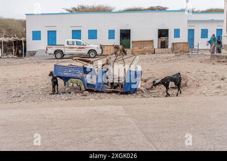 Scène de rue à Tadjourah, République de Djibouti, Afrique Banque D'Images