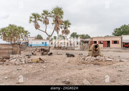 Scène de rue à Tadjourah, République de Djibouti, Afrique Banque D'Images