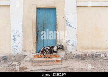 Scène de rue à Tadjourah, République de Djibouti, Afrique Banque D'Images