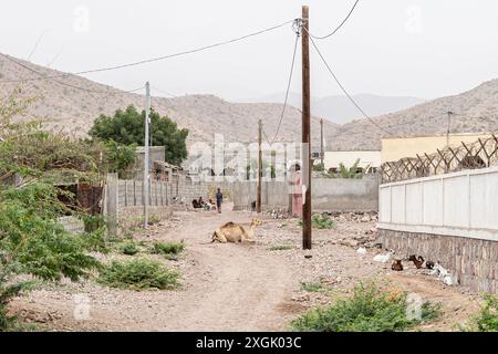 Scène de rue à Tadjourah, République de Djibouti, Afrique Banque D'Images