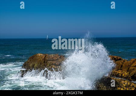 Les beautés de la ville portugaise, Porto : le quartier de Ribeira, la Torre dei Chierici, la gare Sao Bento et d'autres bâtiments monumentaux Banque D'Images