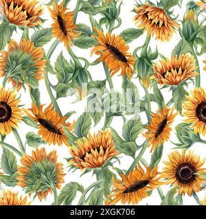 Motif sans couture avec tournesol et feuilles vertes. Tiges de fleurs entrelacées. Composition florale estivale. Fleurs avec feuille. Illustration aquarelle Banque D'Images